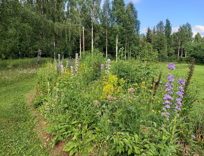 Hirvenkello